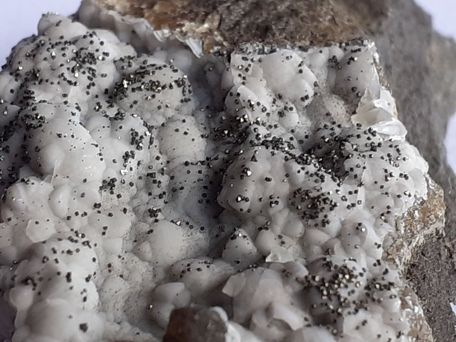 Pyrite, Calcite
4 x 2,5 cm
(Autor: Volkmar Stingl)
