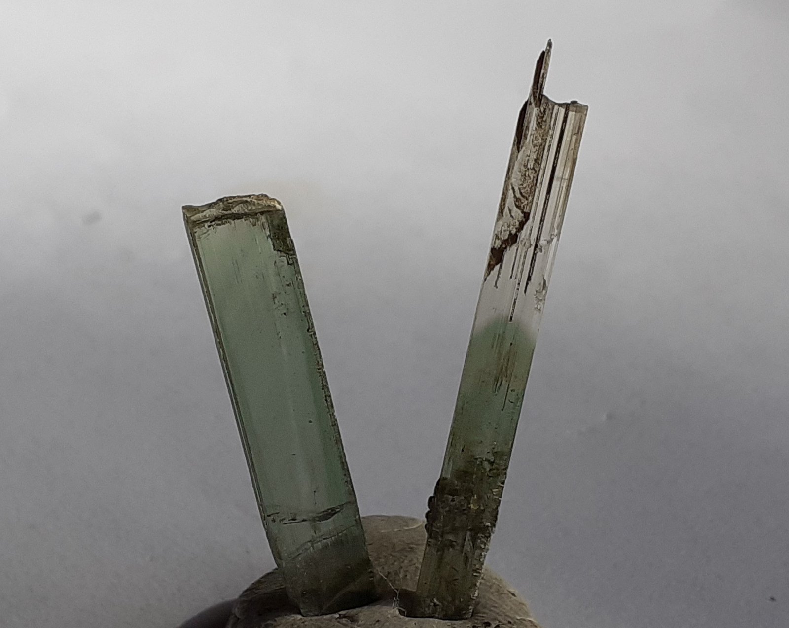 Diopside
2,5 and 3,5 cm
(Autor: Volkmar Stingl)