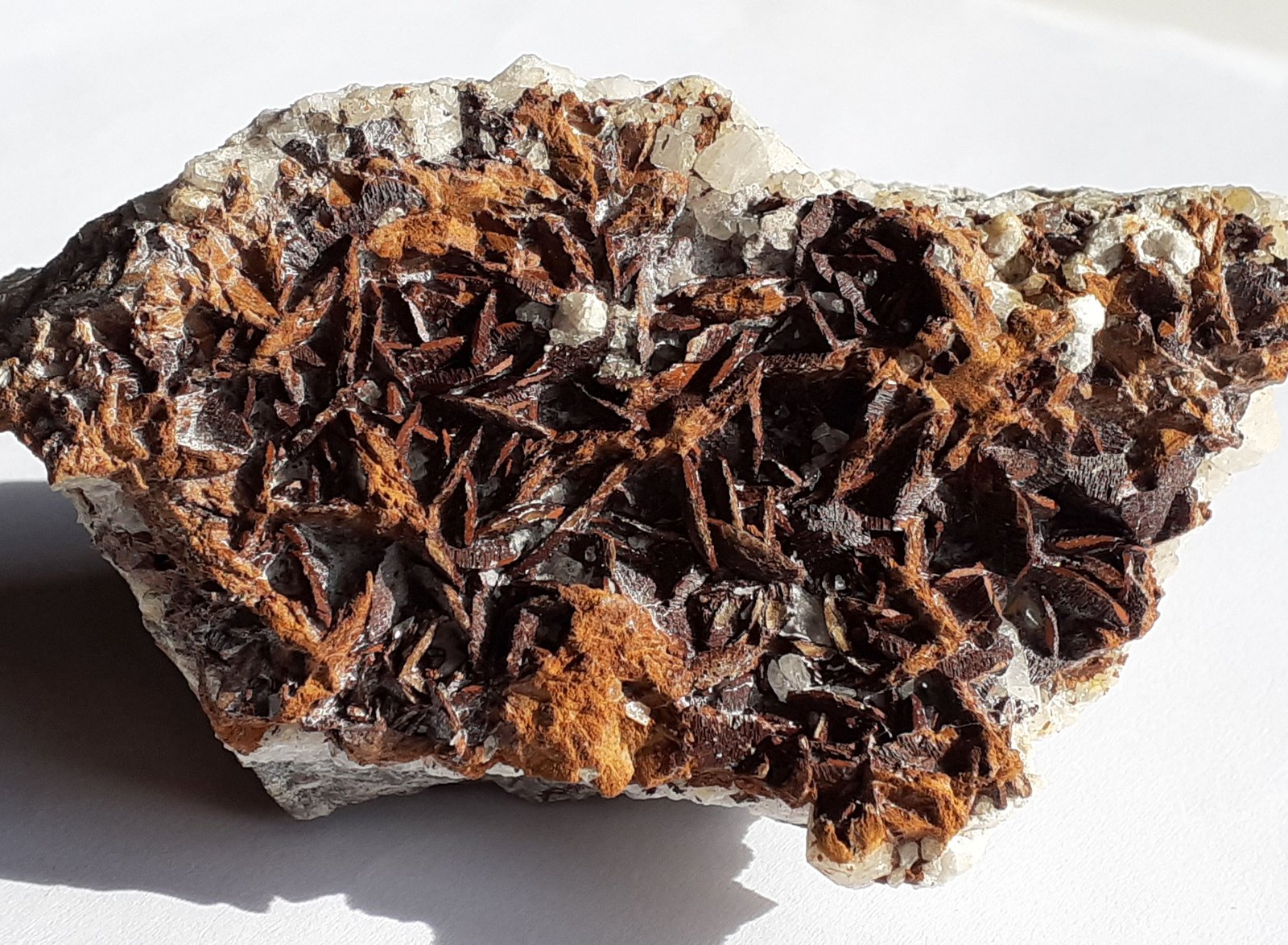 Siderite, Quartz
9 x 6 cm
(Autor: Volkmar Stingl)