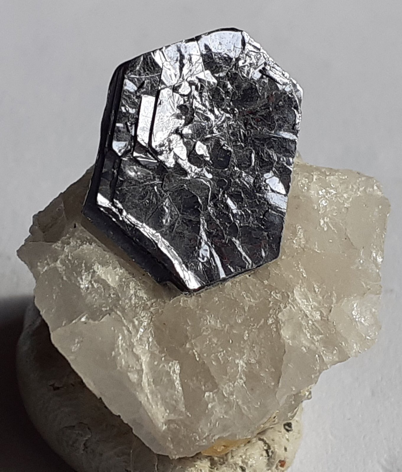Molybdenite
2,5 x 2 cm
(Autor: Volkmar Stingl)
