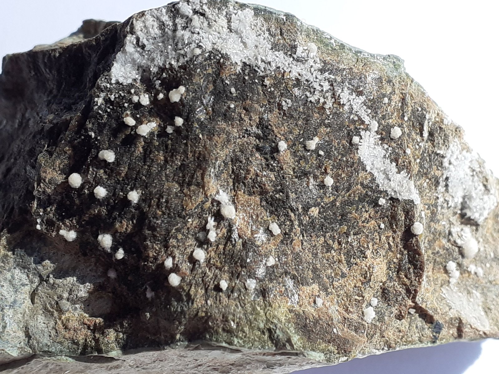 Hydromagnesite
7 x 4 cm
(Autor: Volkmar Stingl)