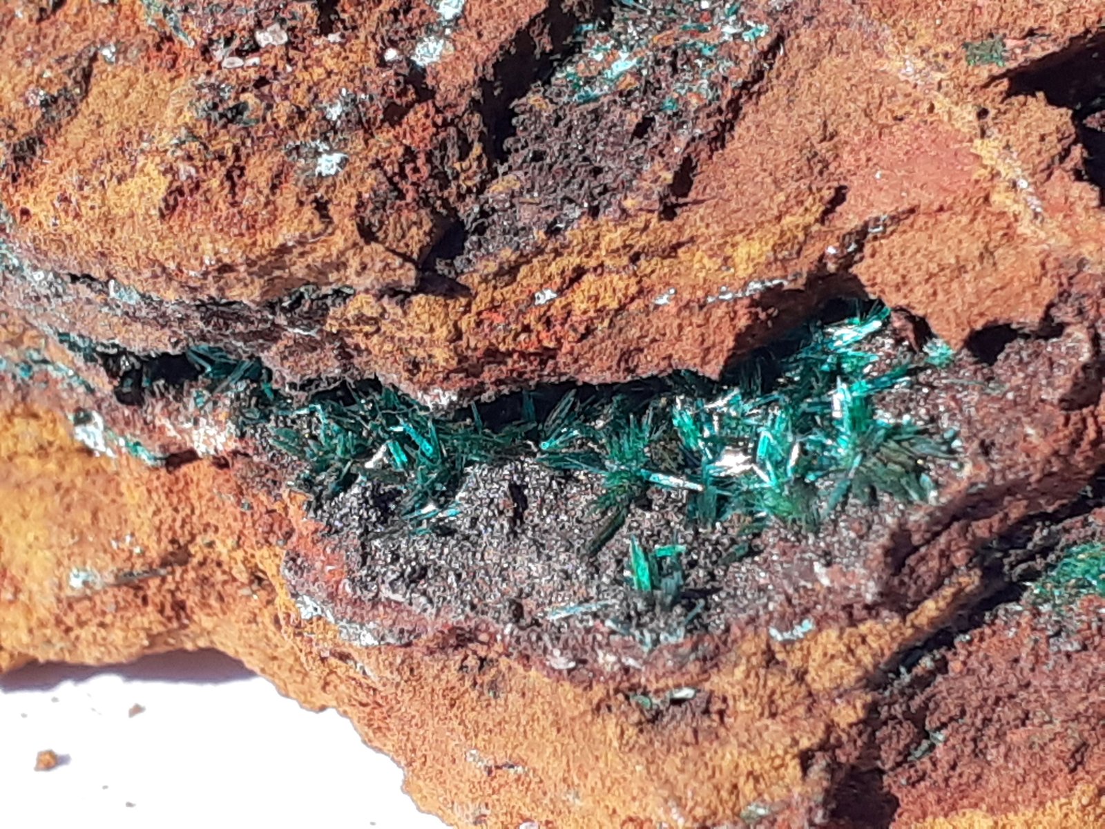 Brochantite
4,5 x 3,5 cm
(Autor: Volkmar Stingl)