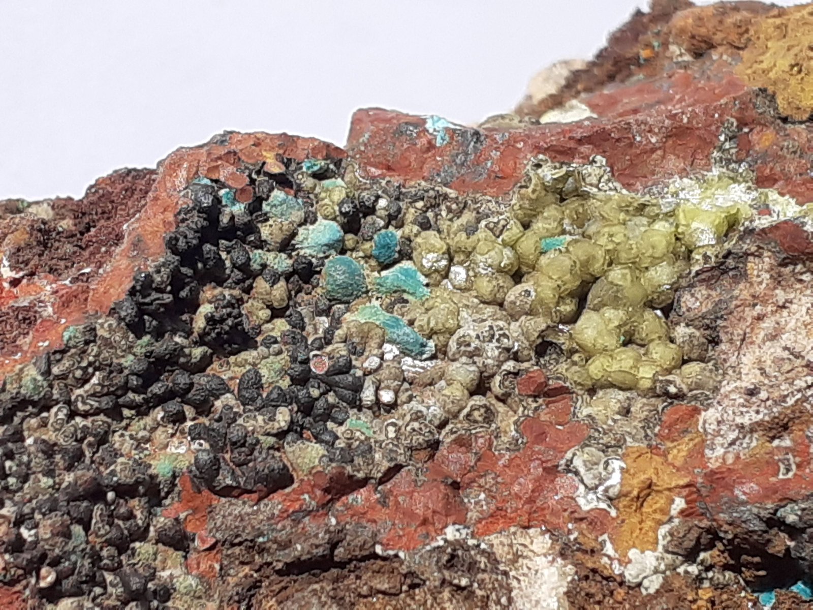 Rosasite, Smithsonite, Goethite, Jarosite
4 x 3,5 cm
(Autor: Volkmar Stingl)