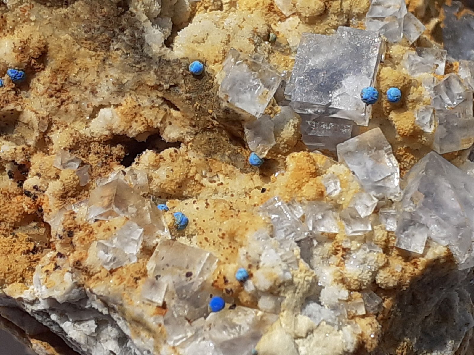 Azurite, Fluorite, Quartz (variety chalcedony)
7 x 5 cm
(Autor: Volkmar Stingl)
