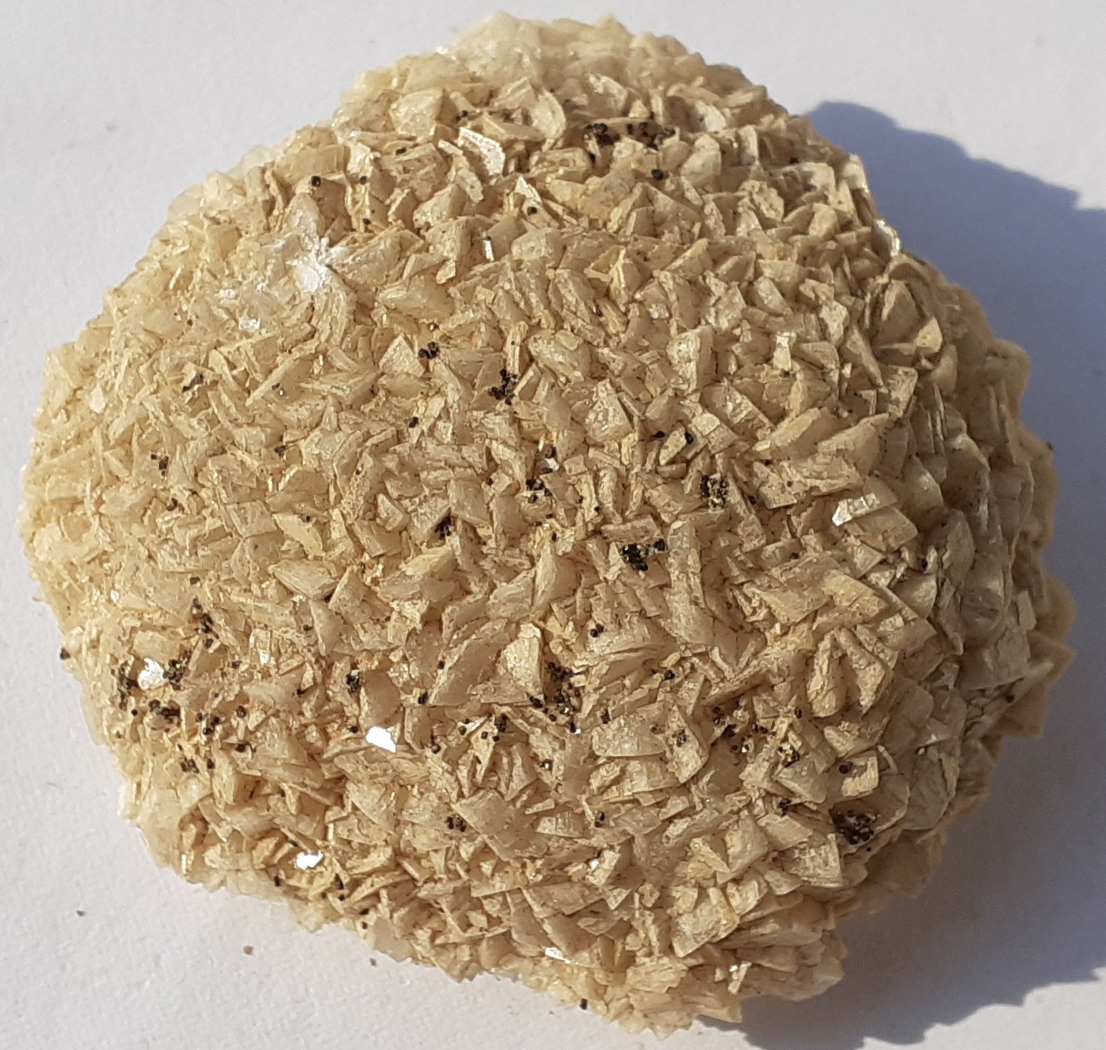 Pyrite, Dolomite
4 x 4 cm
(Autor: Volkmar Stingl)