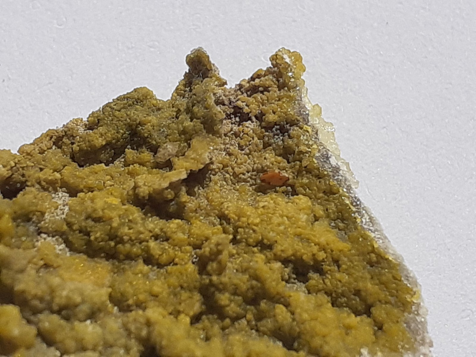 Smithsonite (variety cadmian smithsonite), Wulfenite
2,5 x 2,5 cm
(Autor: Volkmar Stingl)
