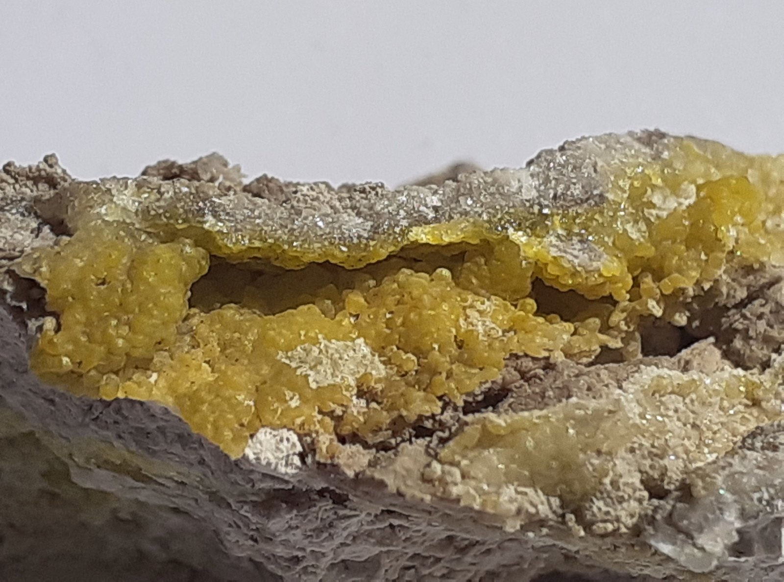 Smithsonite (variety cadmian smithsonite)
3 x 1,5 cm
(Autor: Volkmar Stingl)