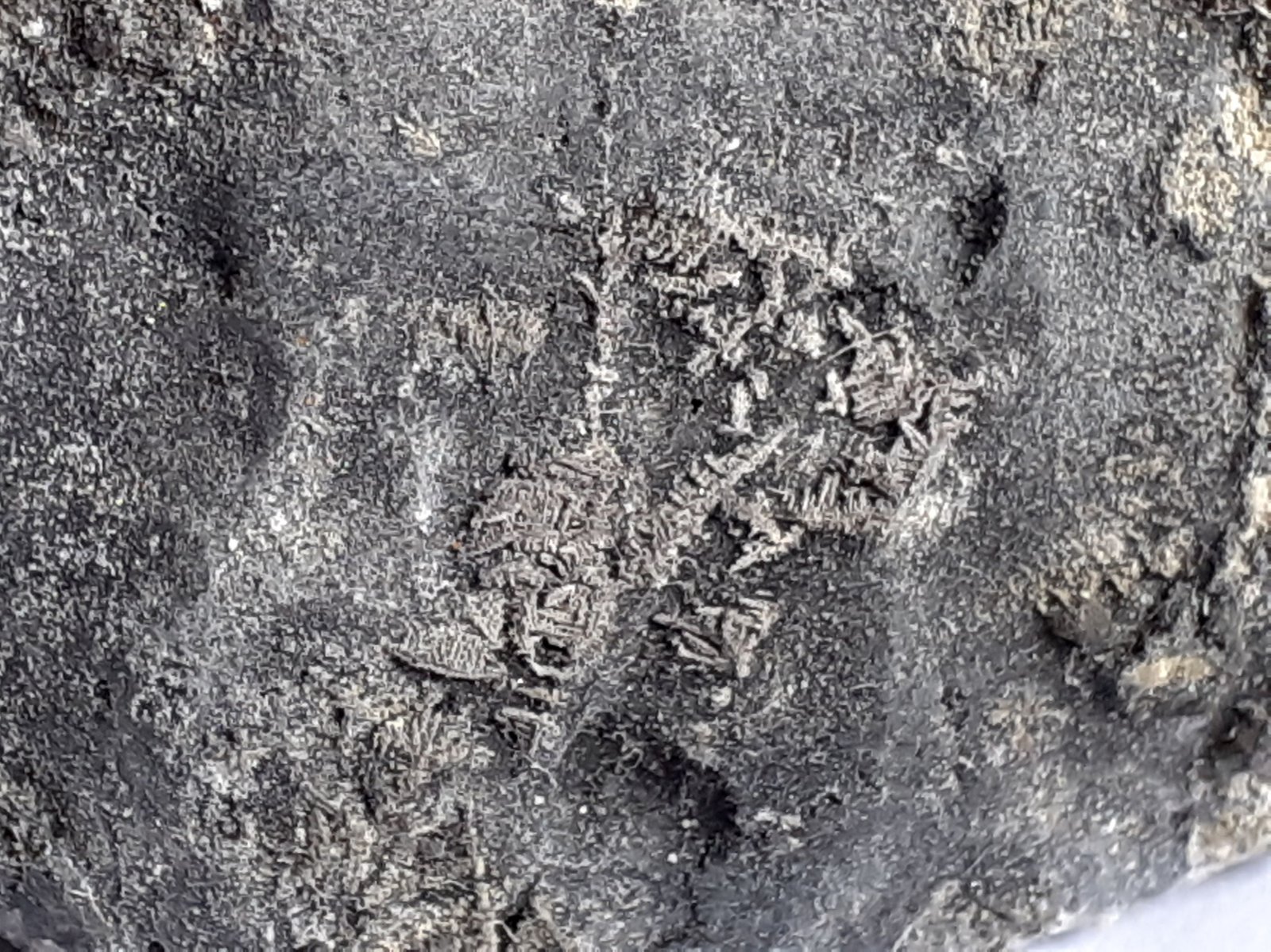 Silver
7 x 4,5 cm
(Autor: Volkmar Stingl)