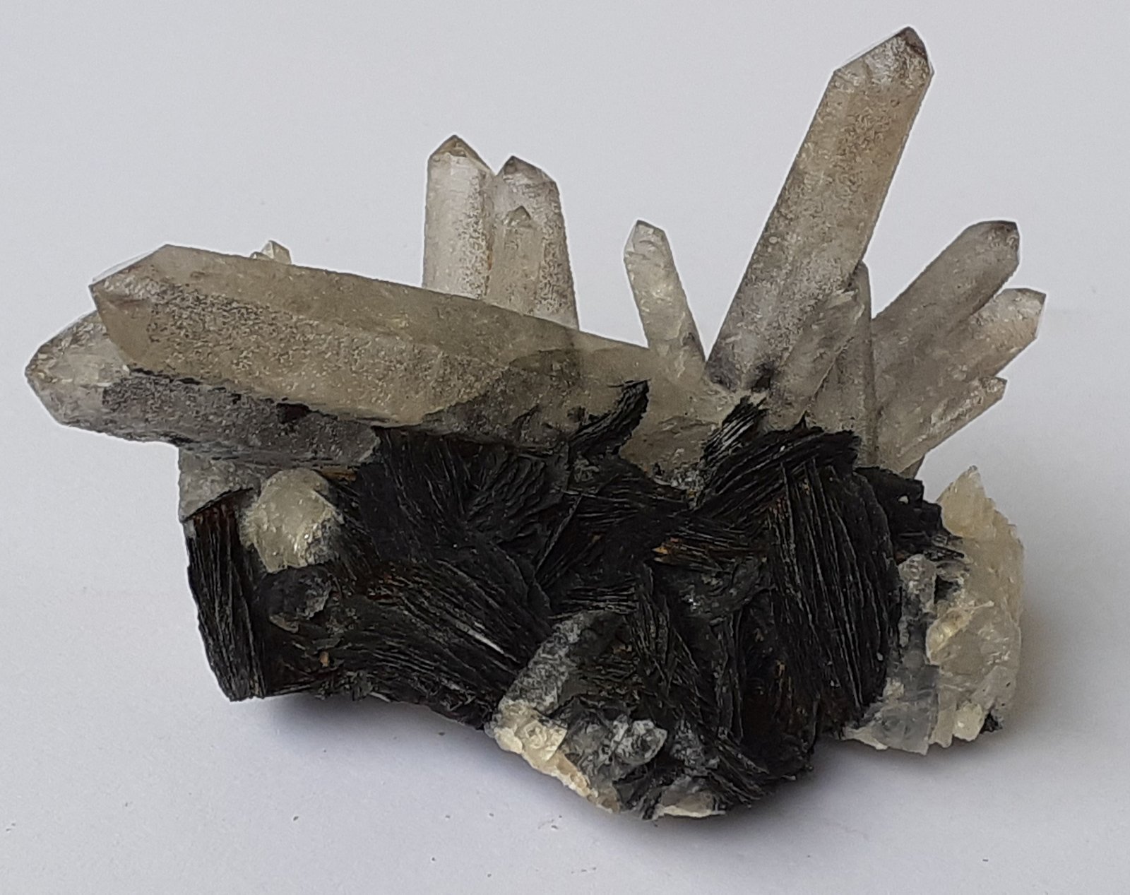 Quartz, Hematite (variety specularite)
6,5 x 5 cm
(Autor: Volkmar Stingl)