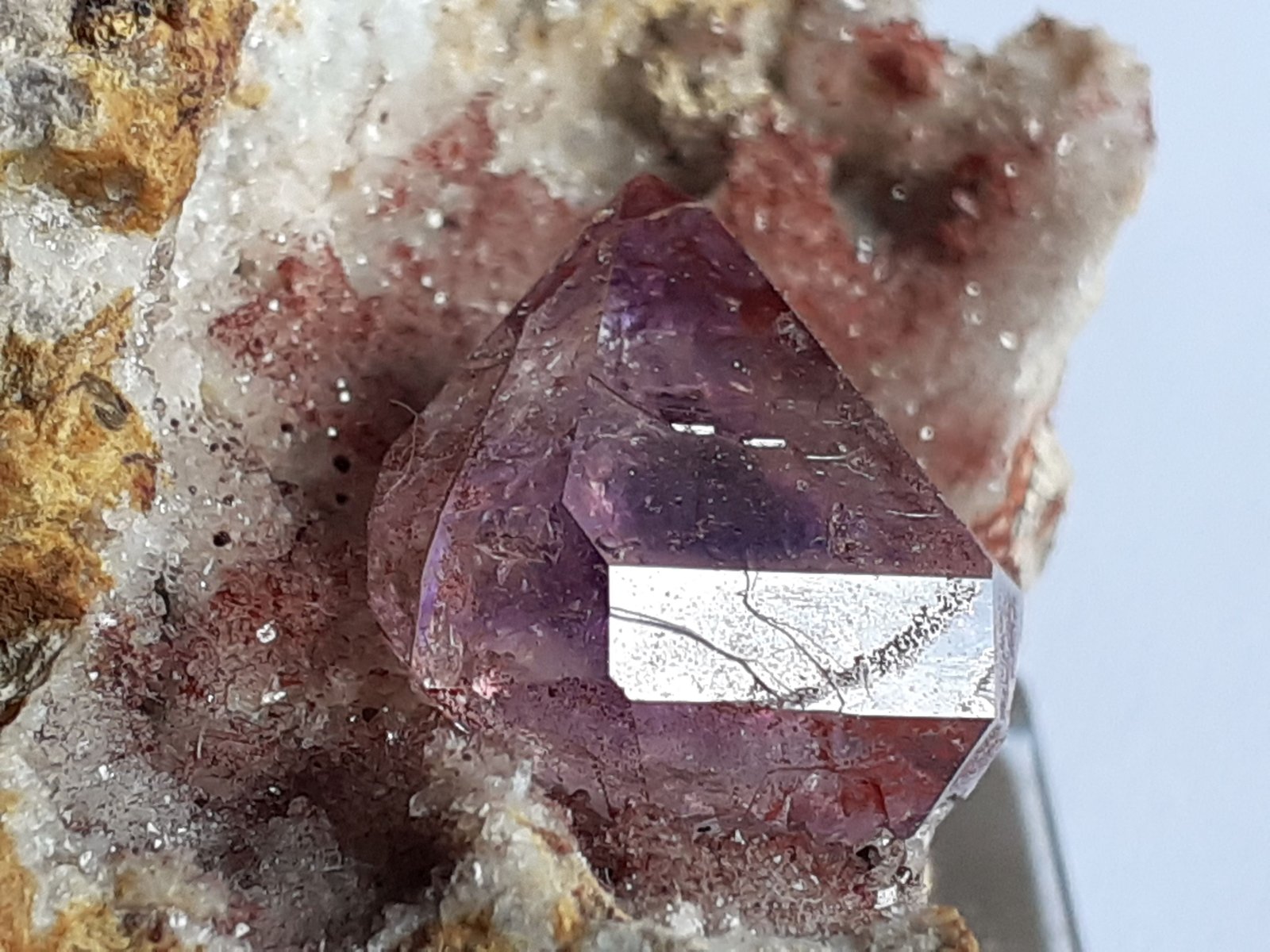 5 x 3,5 cm
(Autor: Volkmar Stingl)
