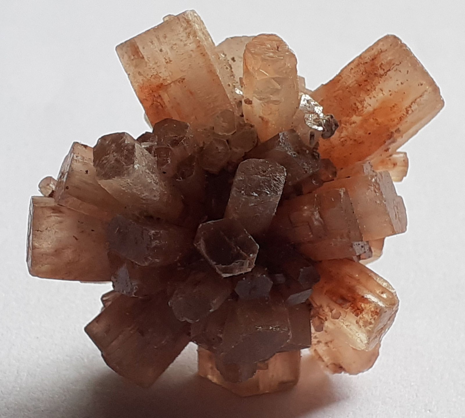 Aragonite
4 x 3 cm
(Autor: Volkmar Stingl)