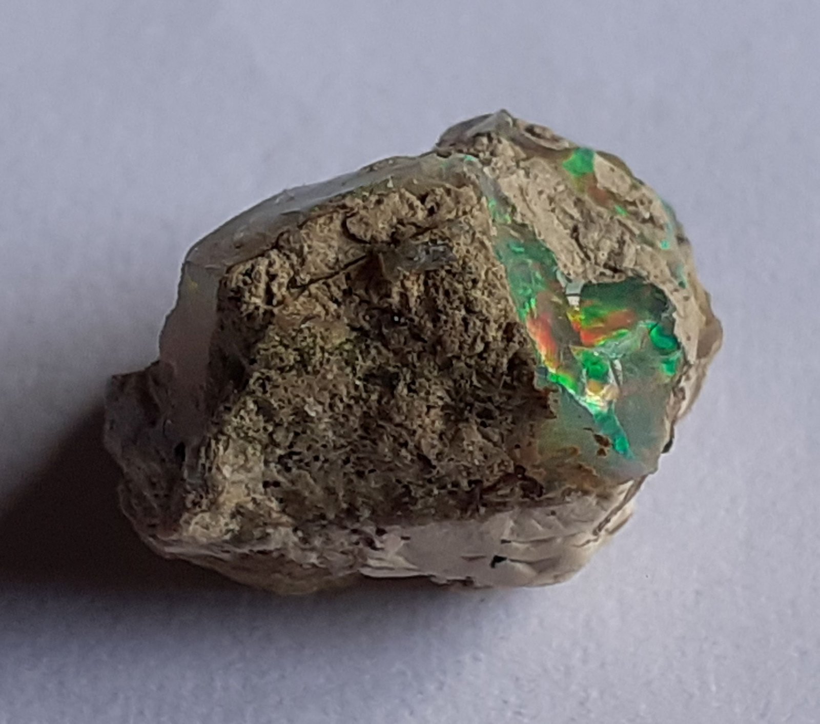 Opal (variety hydrophane)
1,3 x 1 cm
(Autor: Volkmar Stingl)
