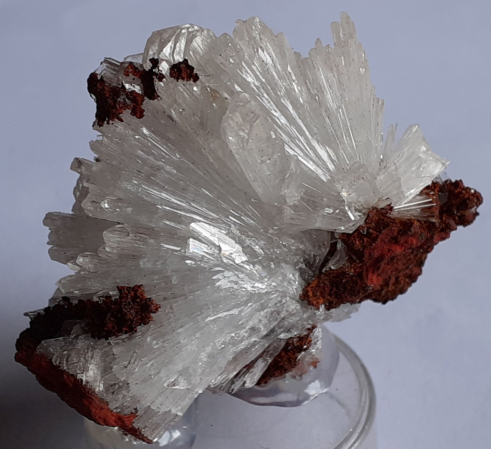 Hemimorphite
4,5 x 4,5 cm
(Autor: Volkmar Stingl)