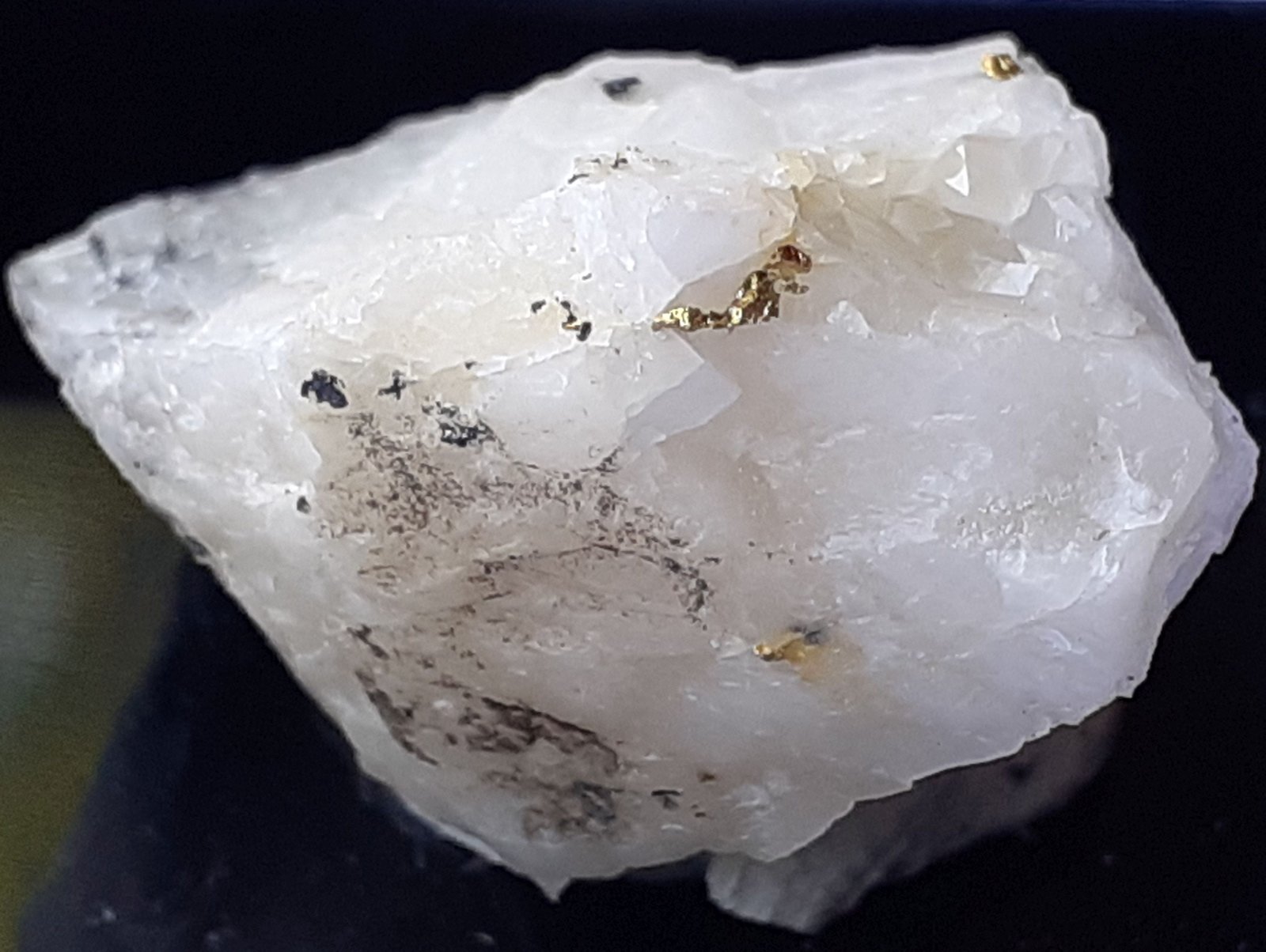 Gold
2 x 1,5 cm
(Autor: Volkmar Stingl)