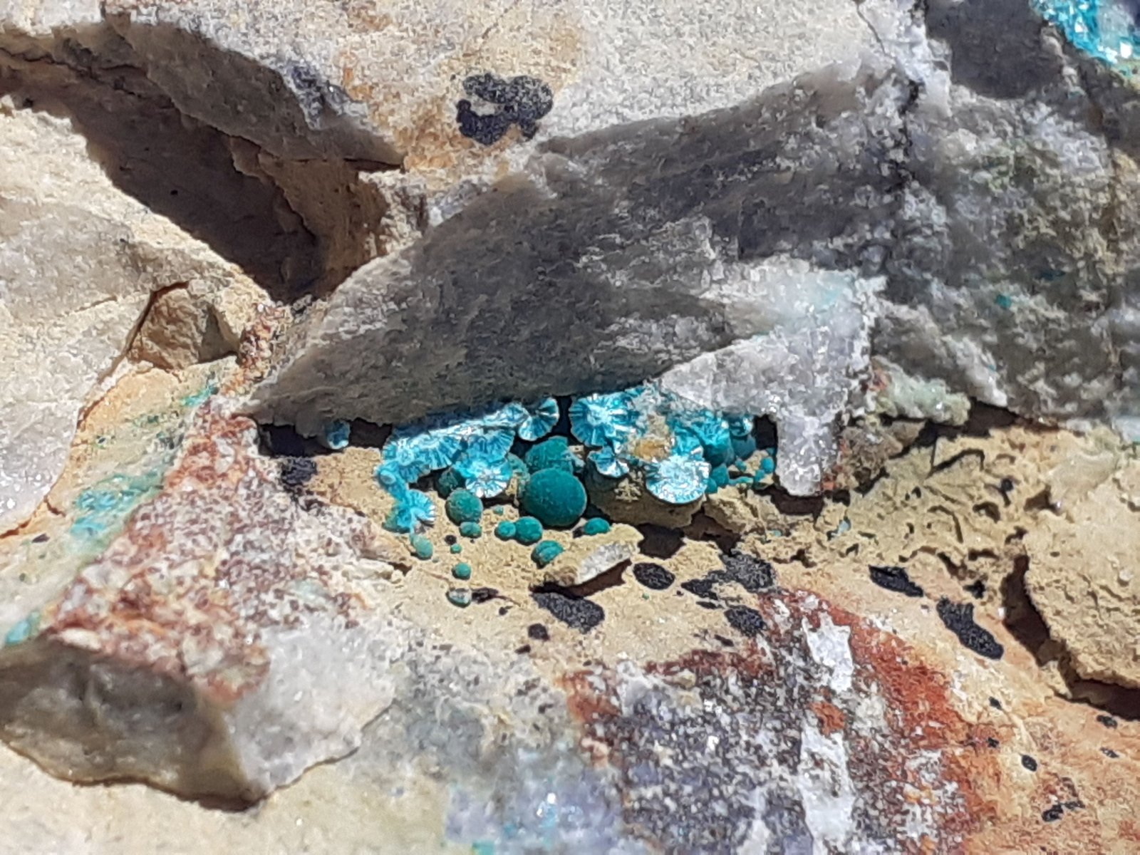 Theisite
6 x 4,5 cm
(Autor: Volkmar Stingl)