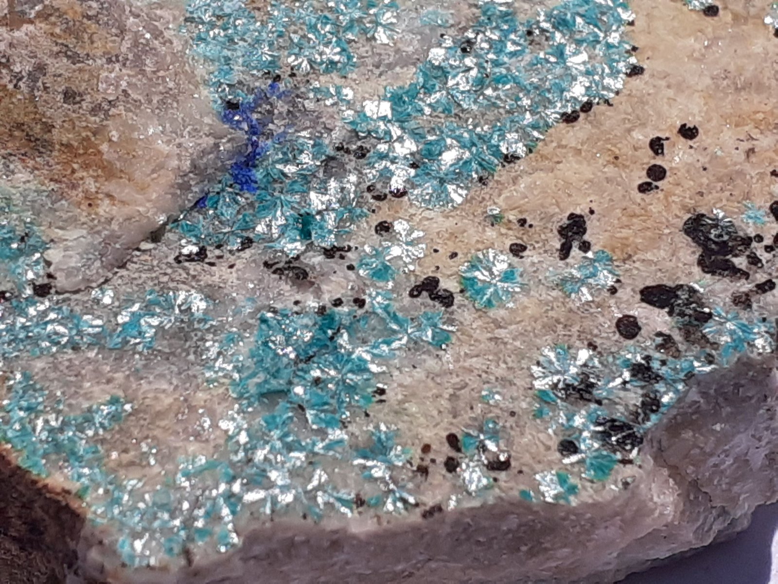 Theisite, Azurite
5,5 x 3,5 cm
(Autor: Volkmar Stingl)