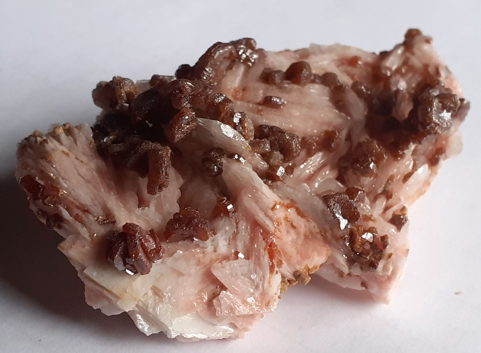Vanadinite, Barite
6 x 3,5 cm
(Autor: Volkmar Stingl)