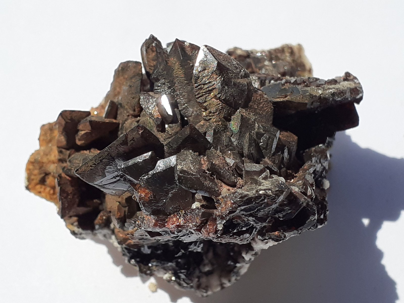 Descloizite
5 x 4,5 cm
(Autor: Volkmar Stingl)