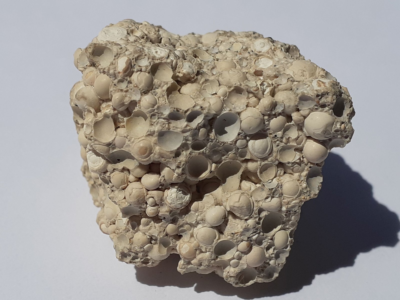 Aragonite (variety Pisolite)
3 x 3 cm
(Autor: Volkmar Stingl)