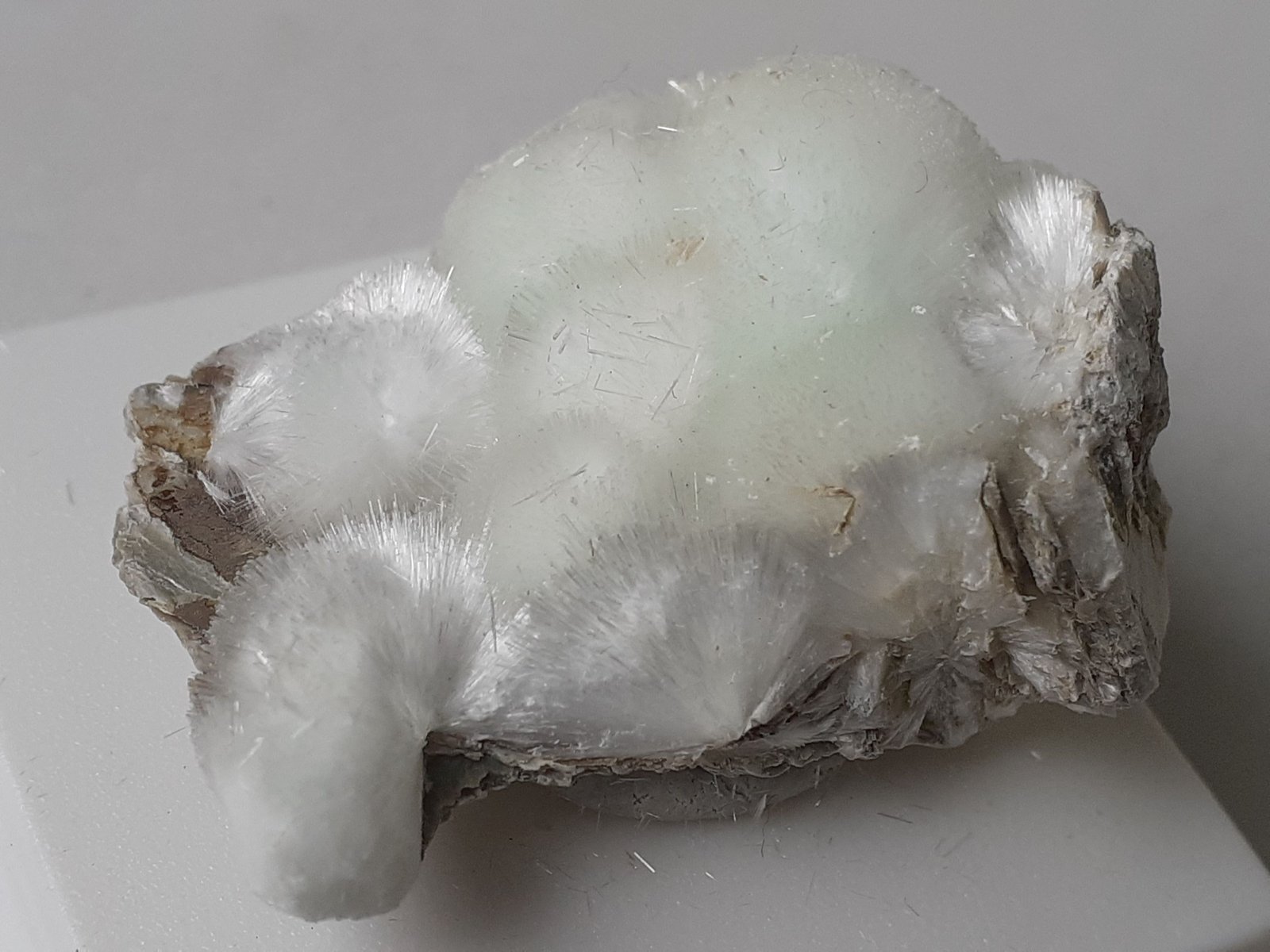 Artinite
3,5 x 2,5 cm
(Autor: Volkmar Stingl)