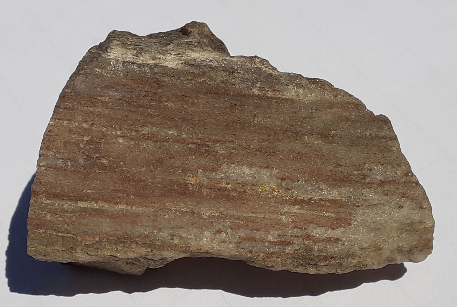 Gold
4,5 x 3 cm
(Autor: Volkmar Stingl)