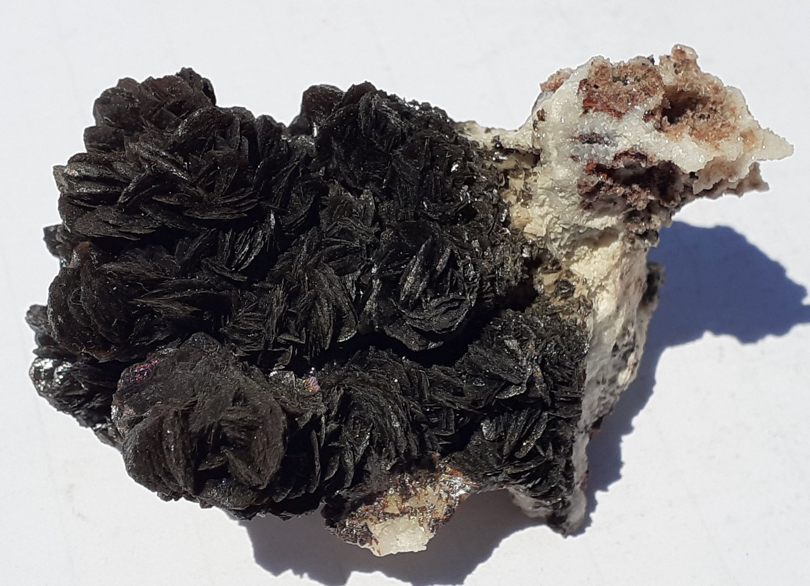 Descloizite
6,5 x 4 cm
(Autor: Volkmar Stingl)