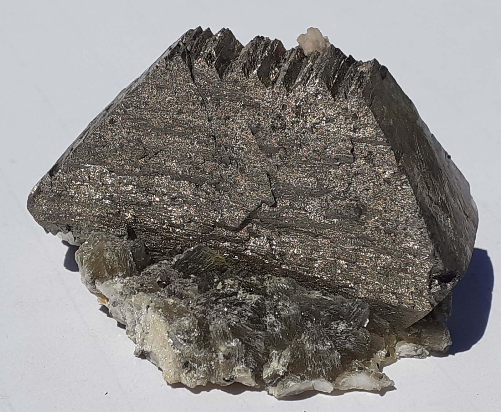 Arsenopyrite, Rhodochrosite
4,5 x 2,5 cm
(Autor: Volkmar Stingl)