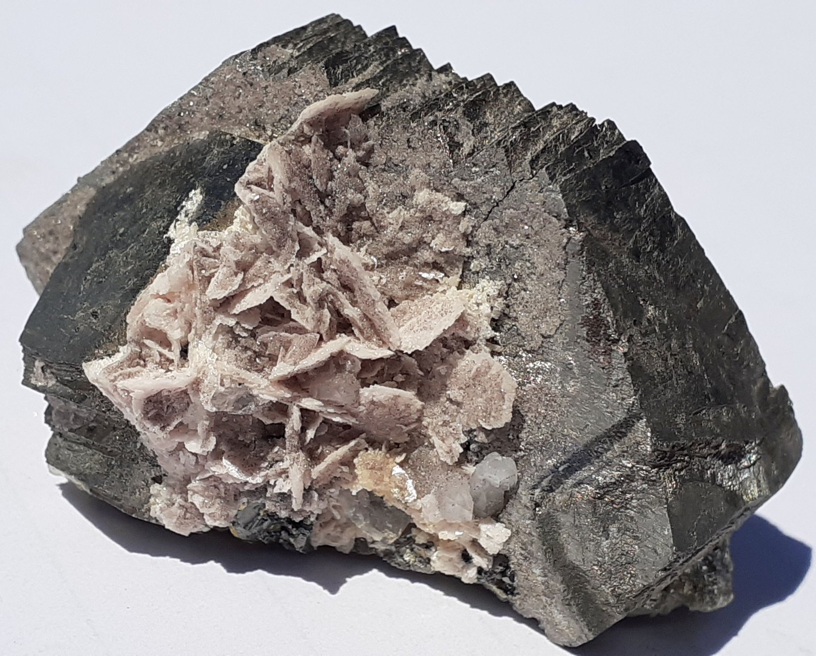 Arsenopyrite, Rhodochrosite
4,5 x 2,5 cm
(Autor: Volkmar Stingl)