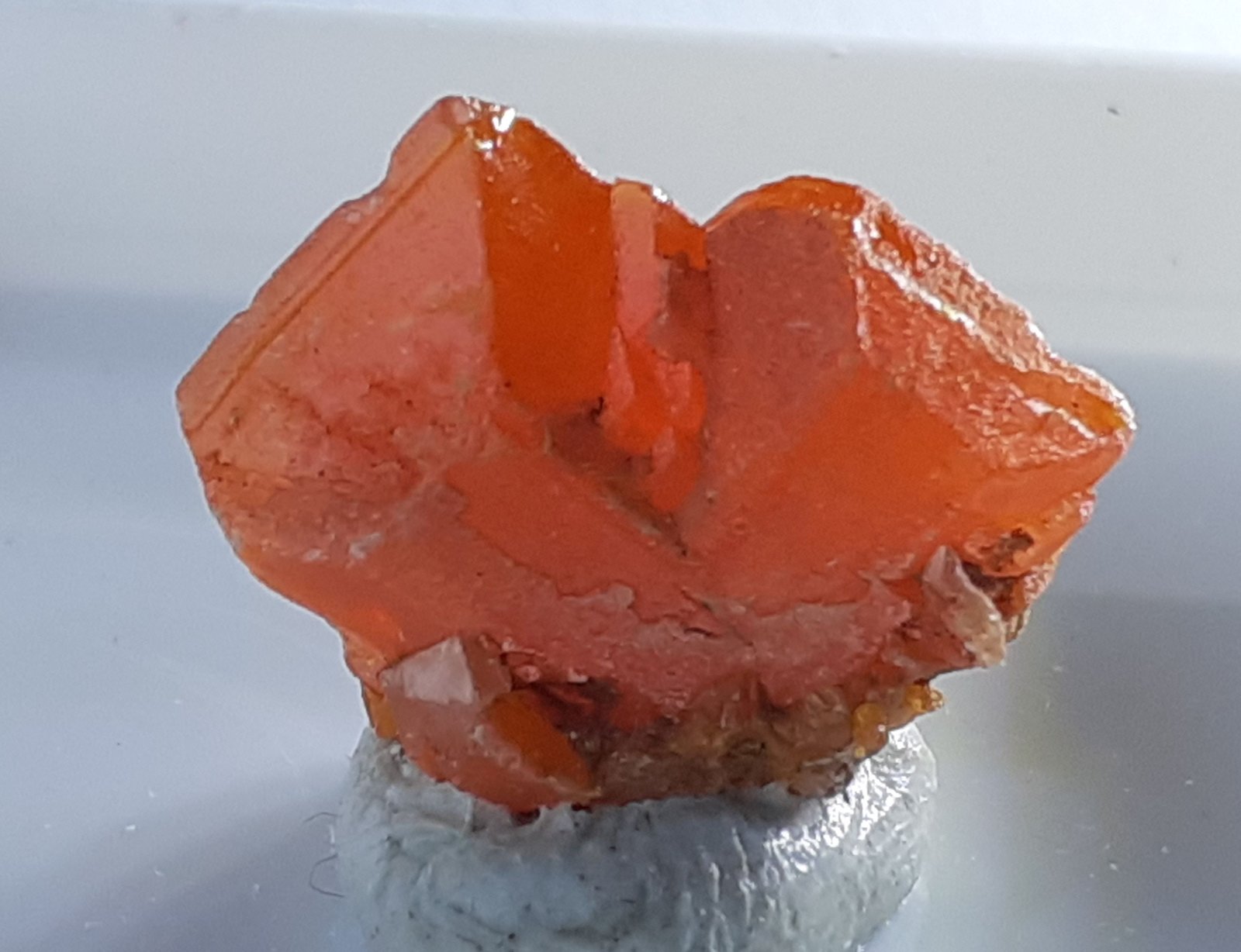 Wulfenite
1,3 x 1 cm
(Autor: Volkmar Stingl)