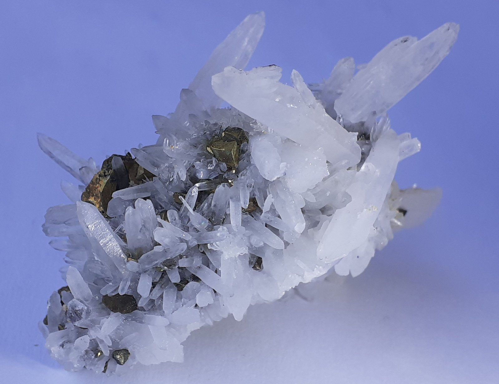 Quartz, Chalcopyrite
6,5 x 4,5 cm
(Autor: Volkmar Stingl)