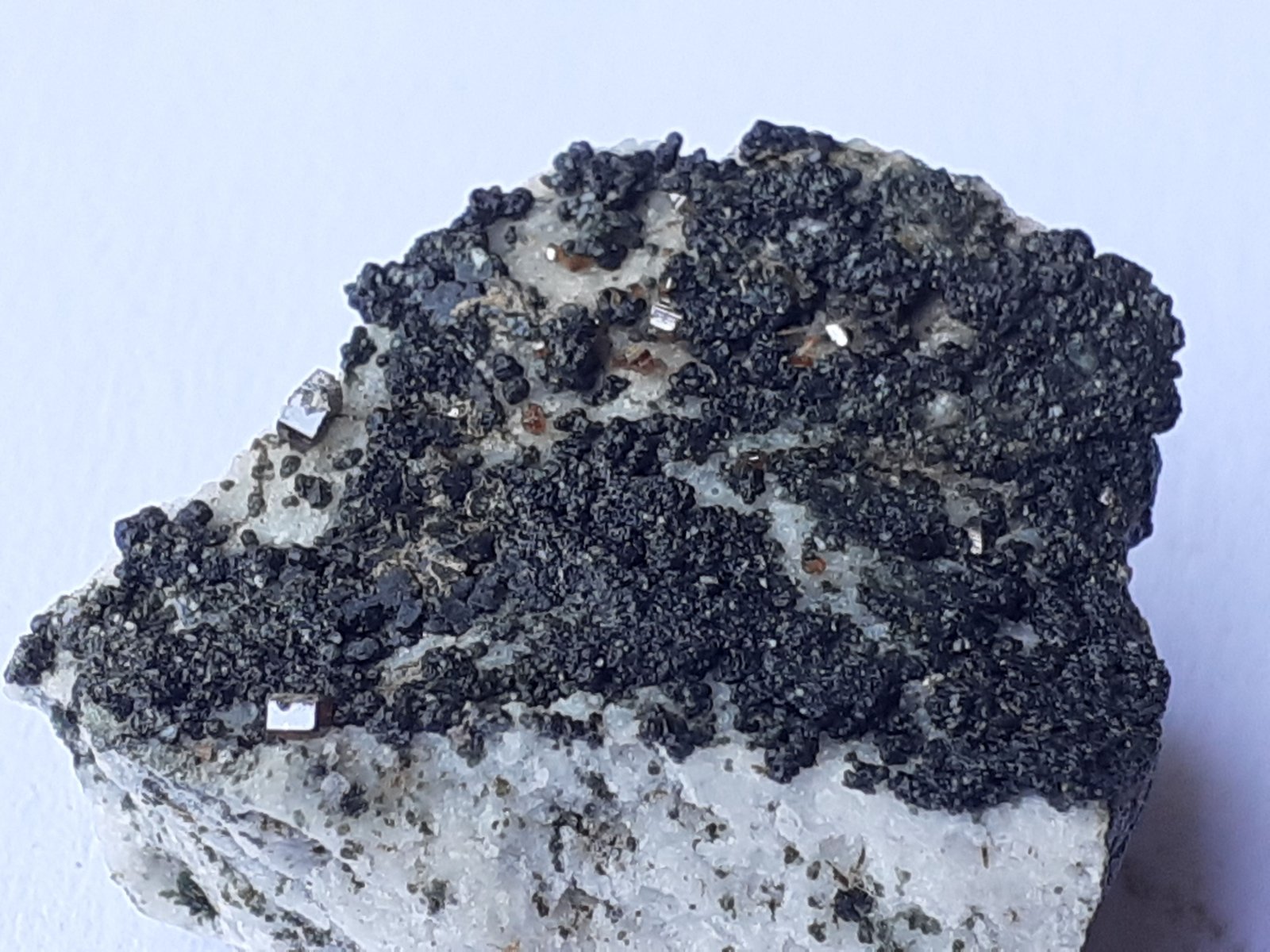 Anatase, Brookite, Rutile, Chlorite group
2 x 1,5 cm
(Autor: Volkmar Stingl)