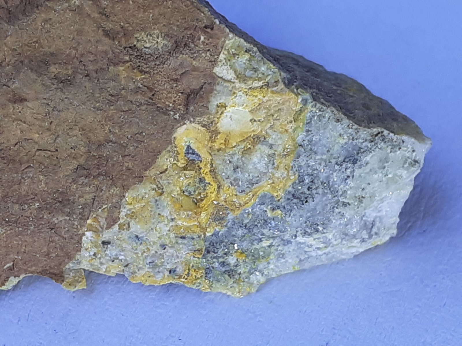 Opal (variety forcherite)
3,5 x 2 cm
(Autor: Volkmar Stingl)