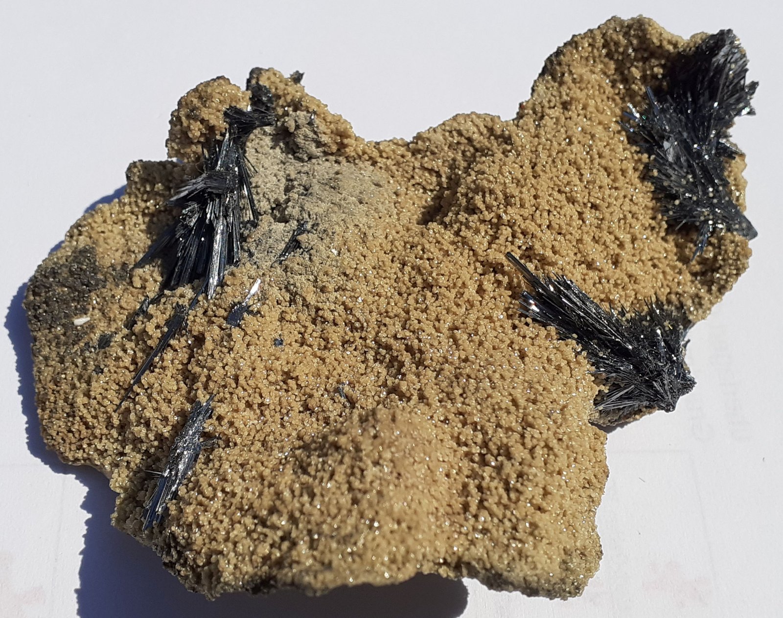 Stibnite, Siderite
9 x 6 cm
(Autor: Volkmar Stingl)