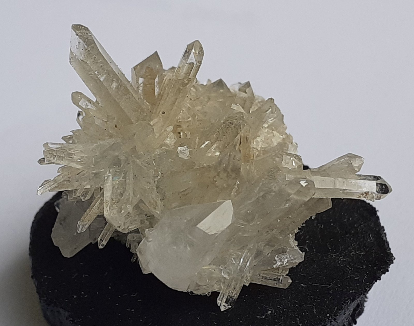 Quartz
2,5 x 2,5 cm
(Autor: Volkmar Stingl)