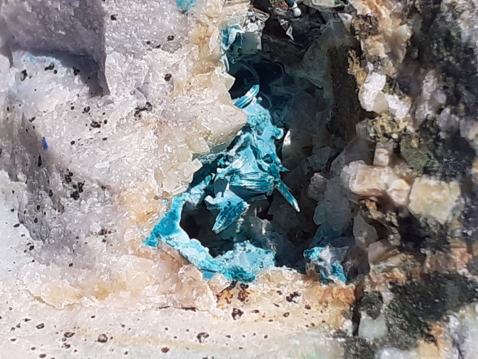 Malachite, Dolomite
5,5 x 5 cm
(Autor: Volkmar Stingl)