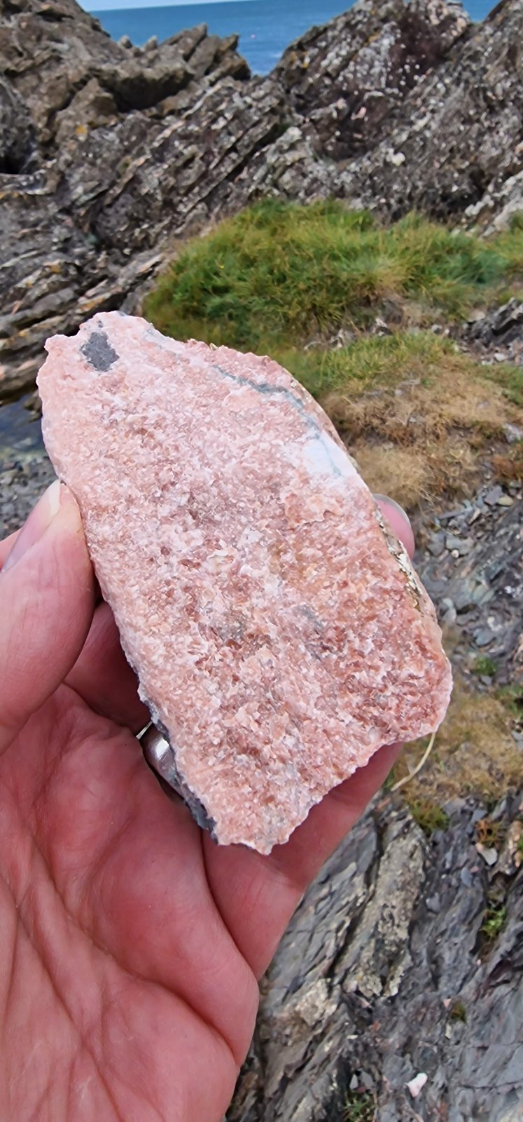 Unknown vein
(Autor: Forrestblyth)
