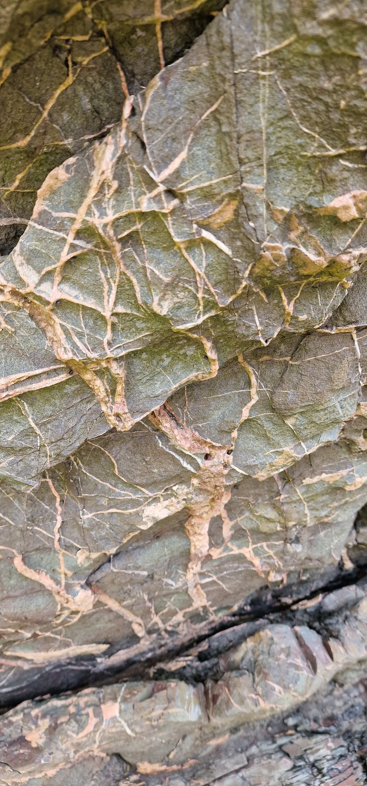 Silurian greywackes
(Autor: Forrestblyth)