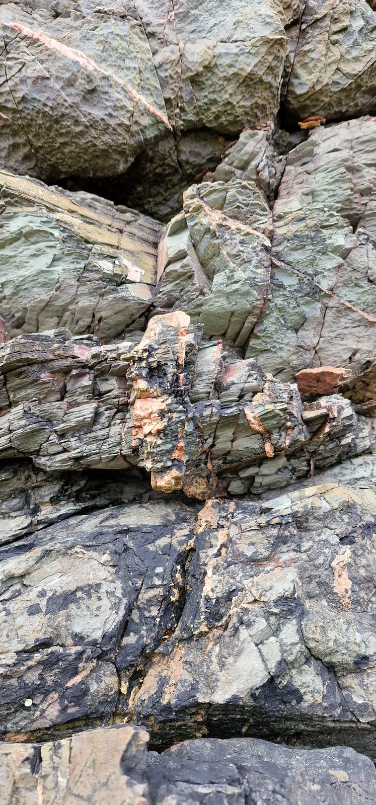 Silurian greywackes
(Autor: Forrestblyth)