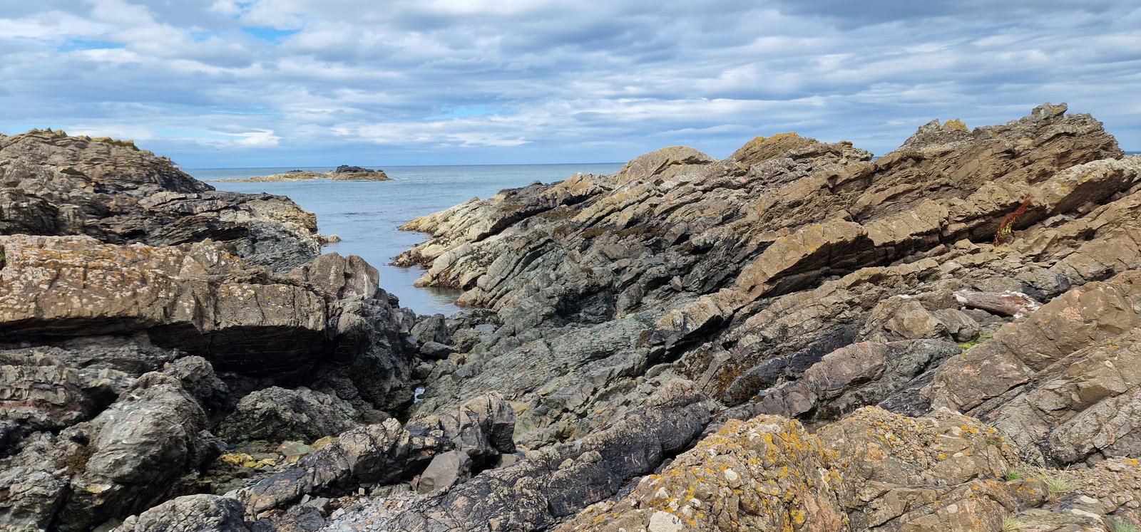 Silurian greywackes
(Autor: Forrestblyth)