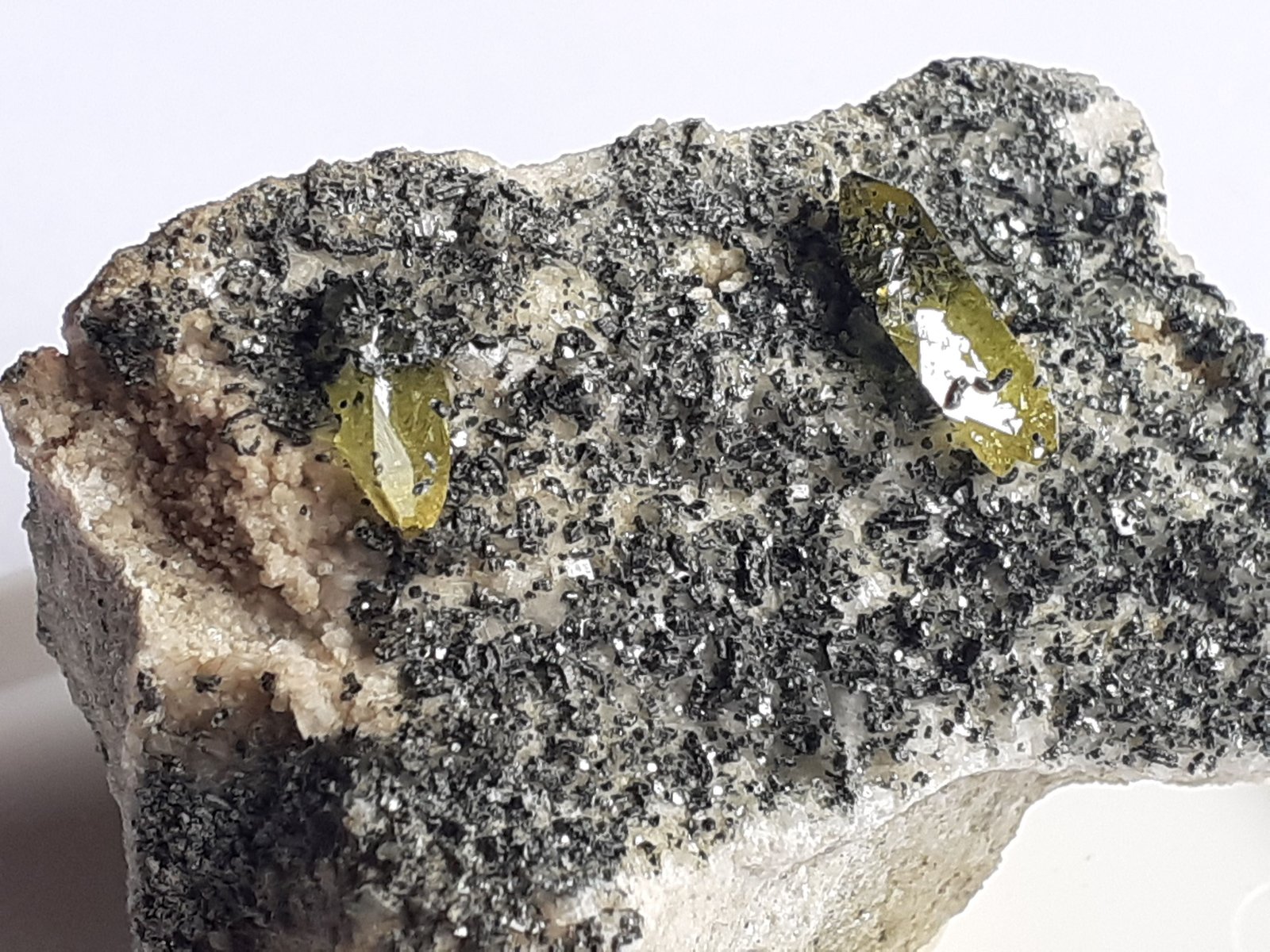 Titanite, Chlorite group
4 x 2,5 cm
(Autor: Volkmar Stingl)