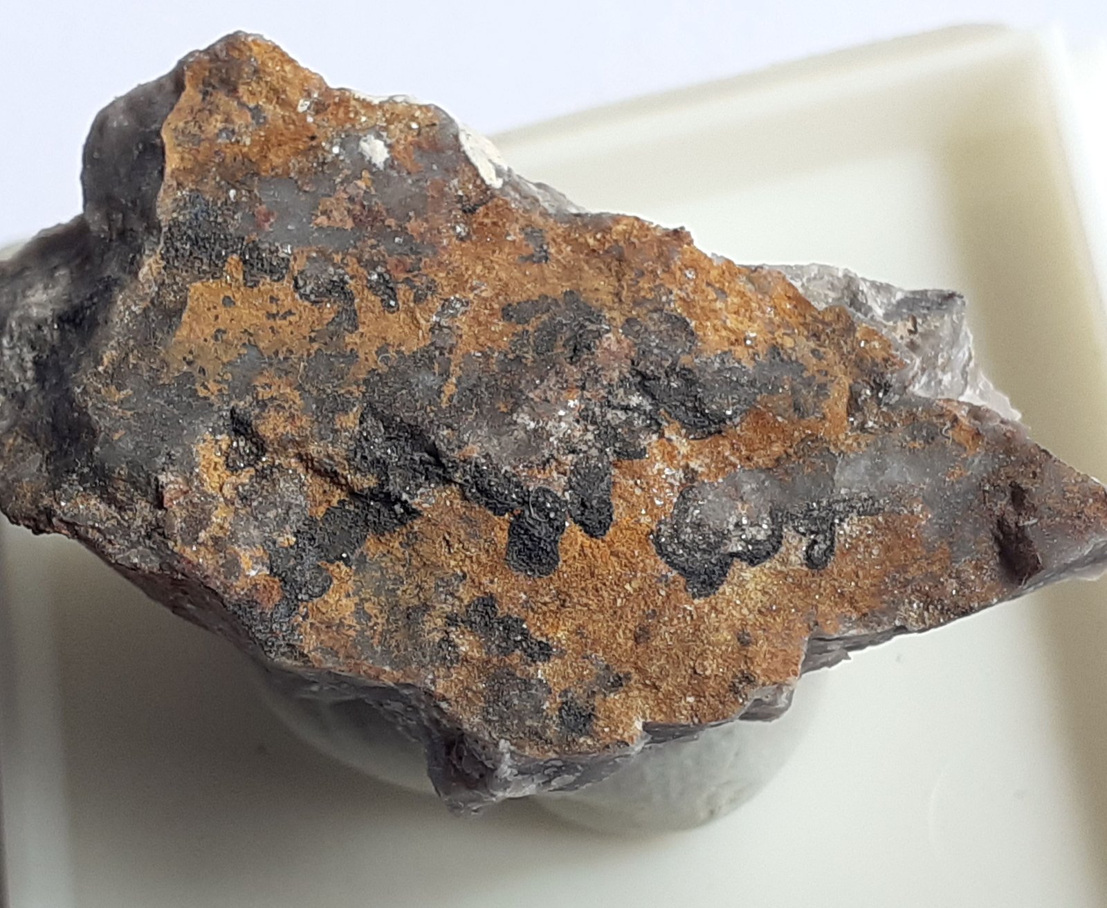 Silver
3,5 x 1,5 cm
(Autor: Volkmar Stingl)