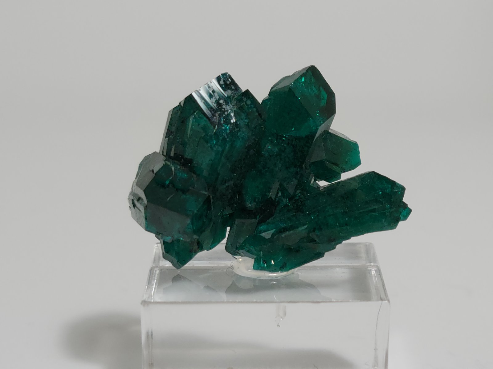 Dioptase
2.5 x 1.6 x 1.2 cm
(Autor: Casimir Sarisky)