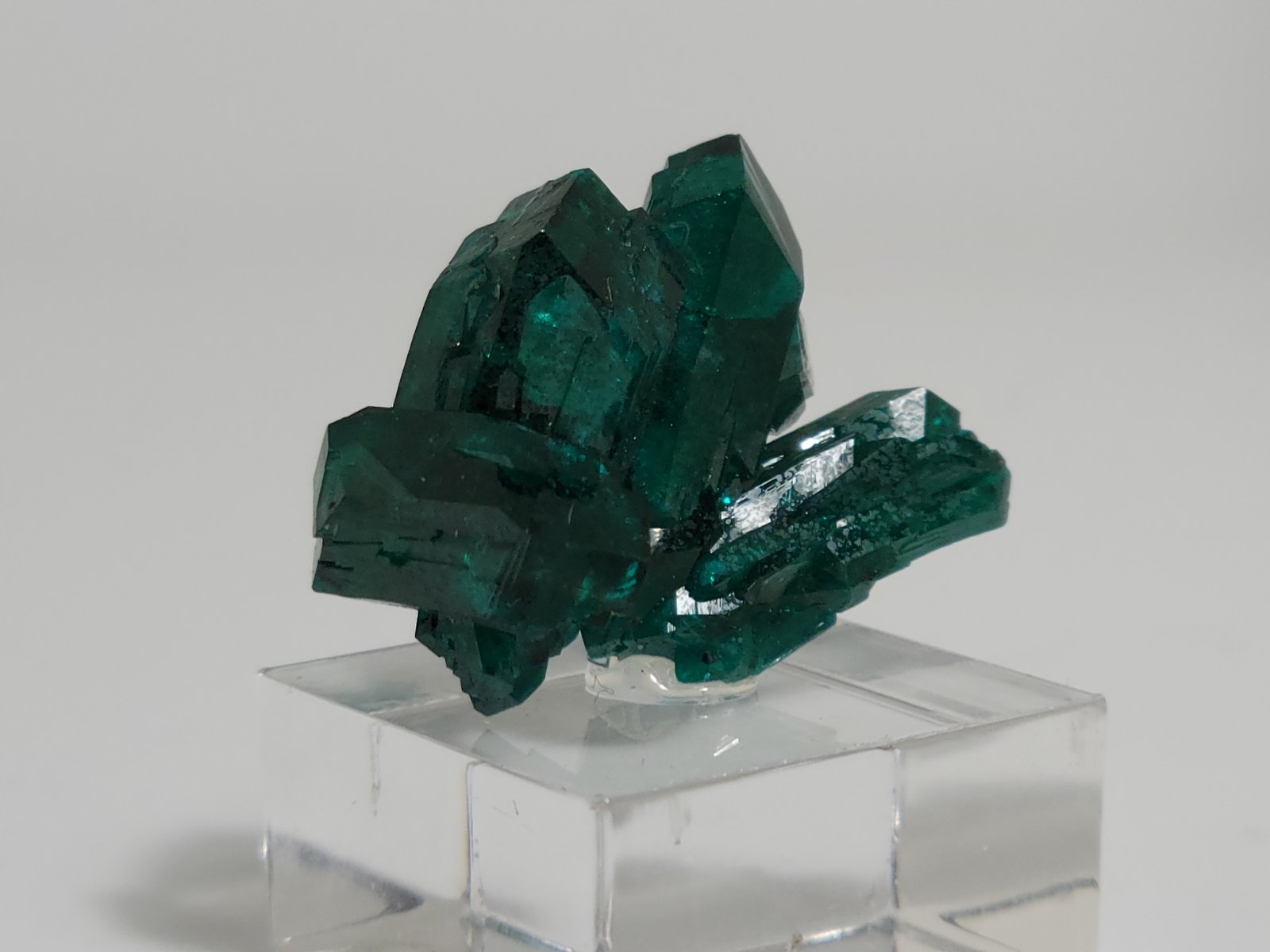 Dioptase
2.5 x 1.6 x 1.2 cm
(Autor: Casimir Sarisky)