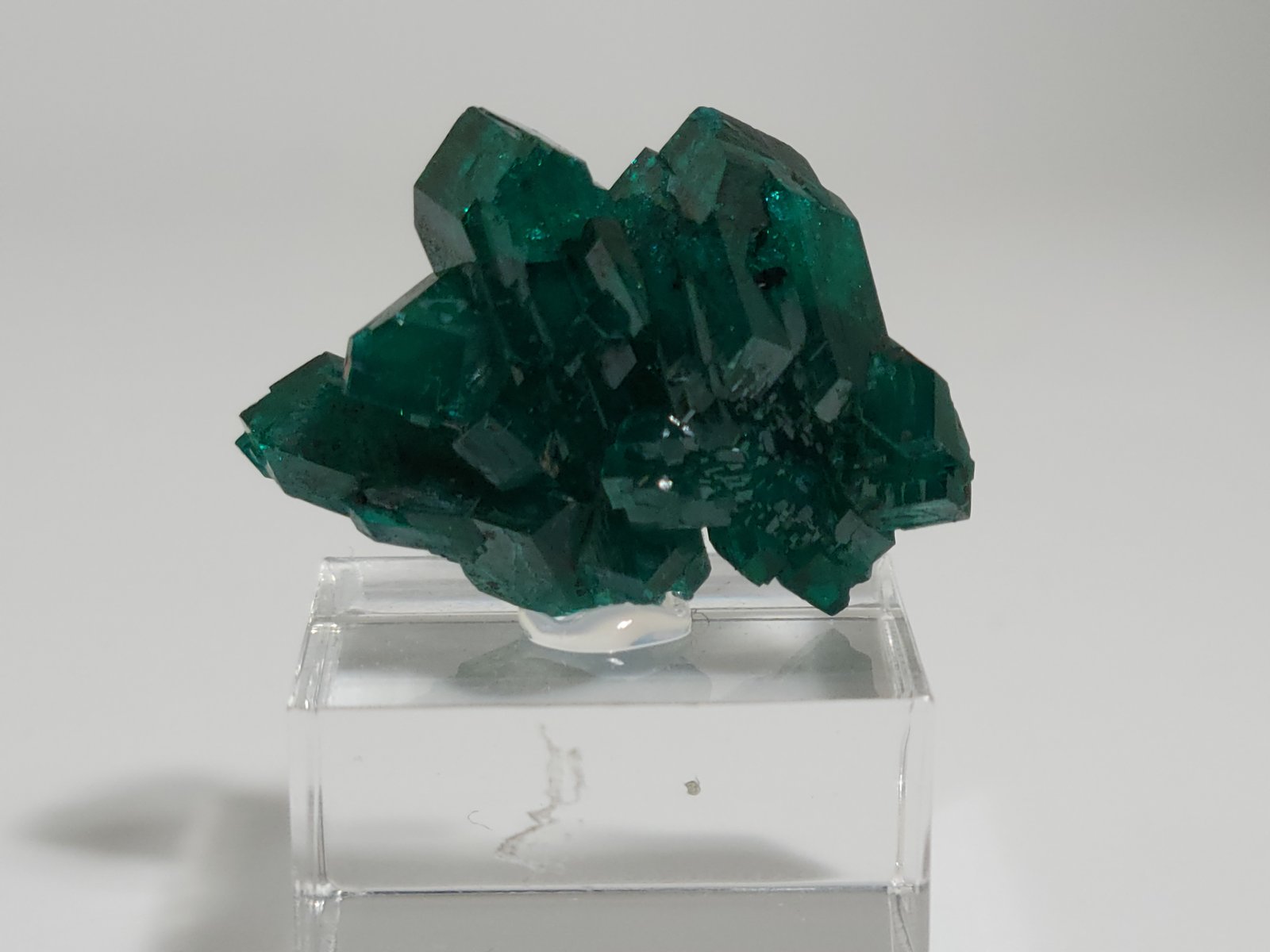 Dioptase
2.5 x 1.6 x 1.2 cm
(Autor: Casimir Sarisky)