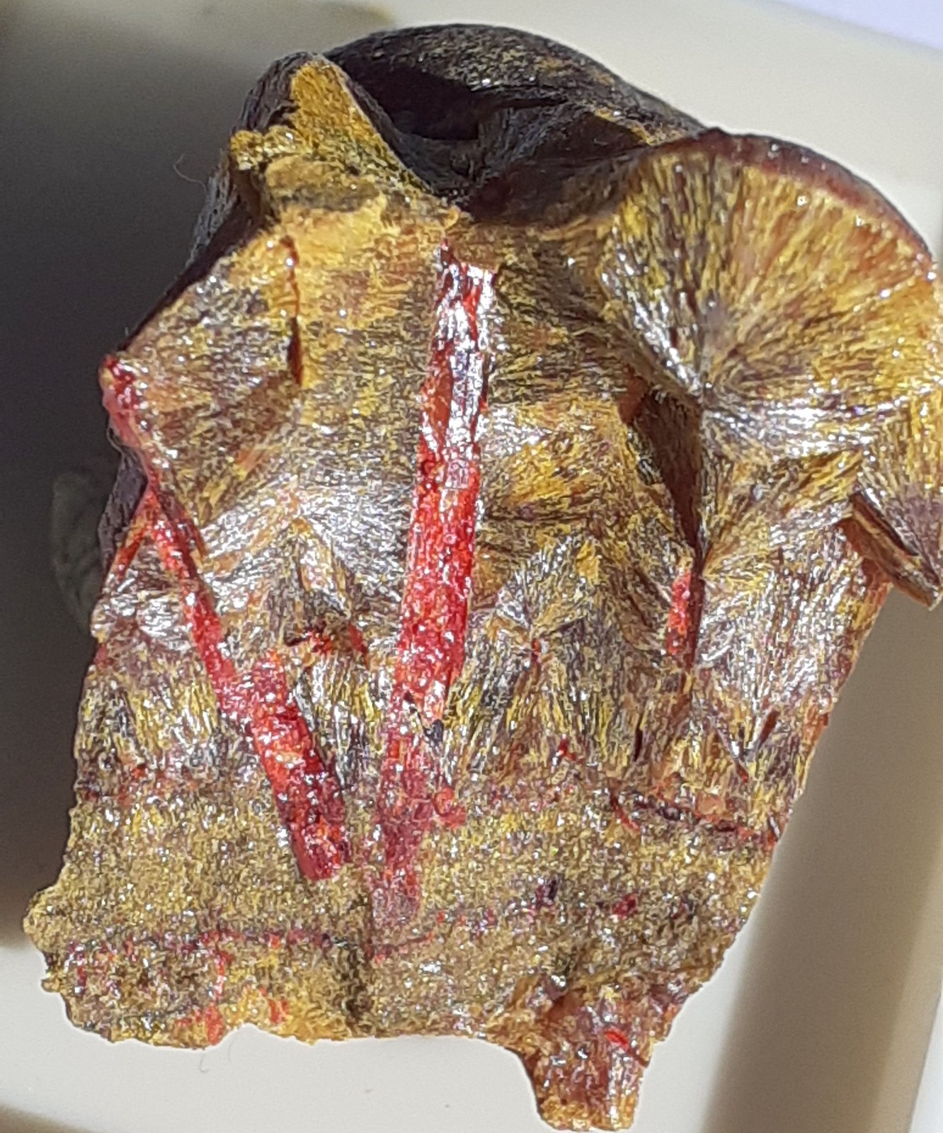 Realgar, Orpiment
3 x 2,5 cm
(Autor: Volkmar Stingl)