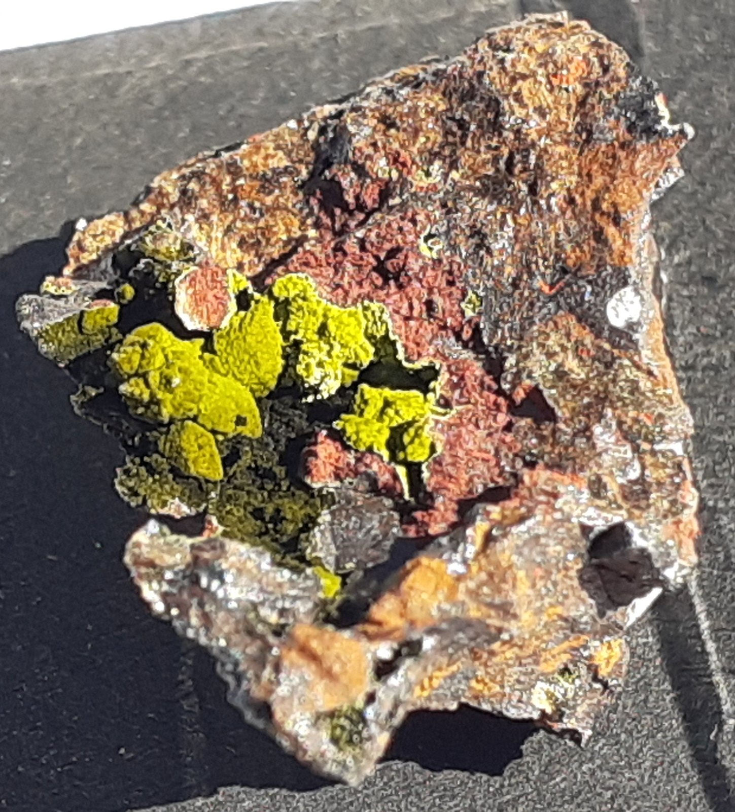 Chenevixite
1,5 x 1,2 cm
(Autor: Volkmar Stingl)