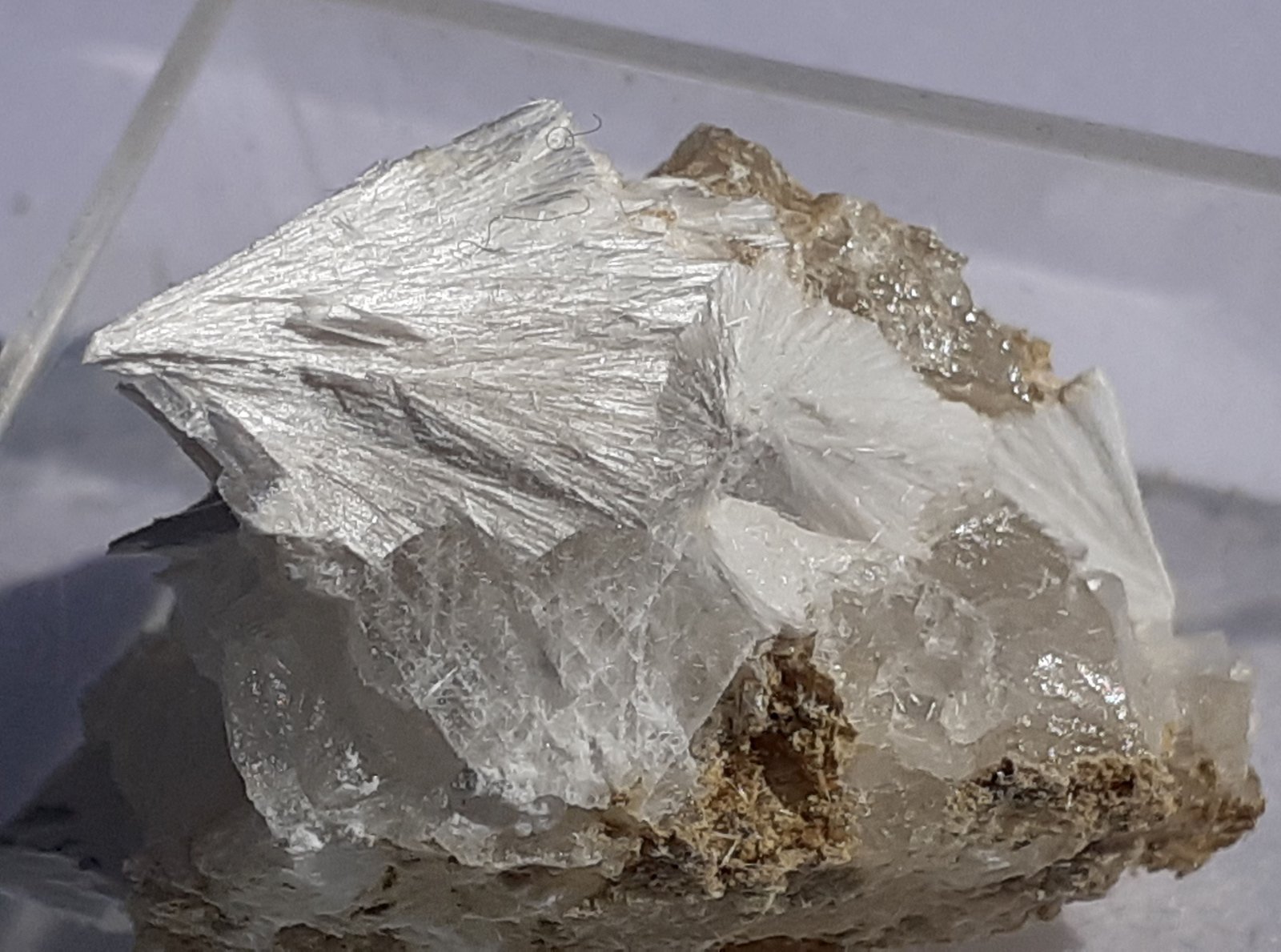 Pectolite
2 x 1,5 cm
(Autor: Volkmar Stingl)