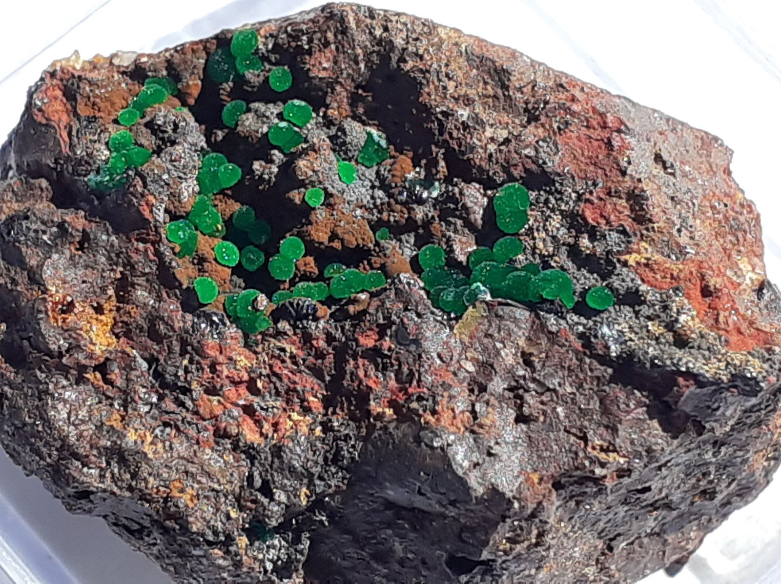 Conichalcite
2,5 x 1,5 cm
(Autor: Volkmar Stingl)