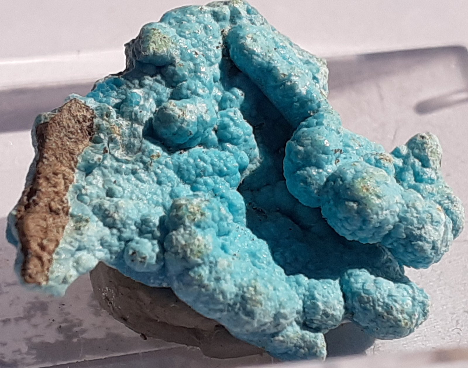 Glaucocerinite
2 x 1,5 cm
(Autor: Volkmar Stingl)