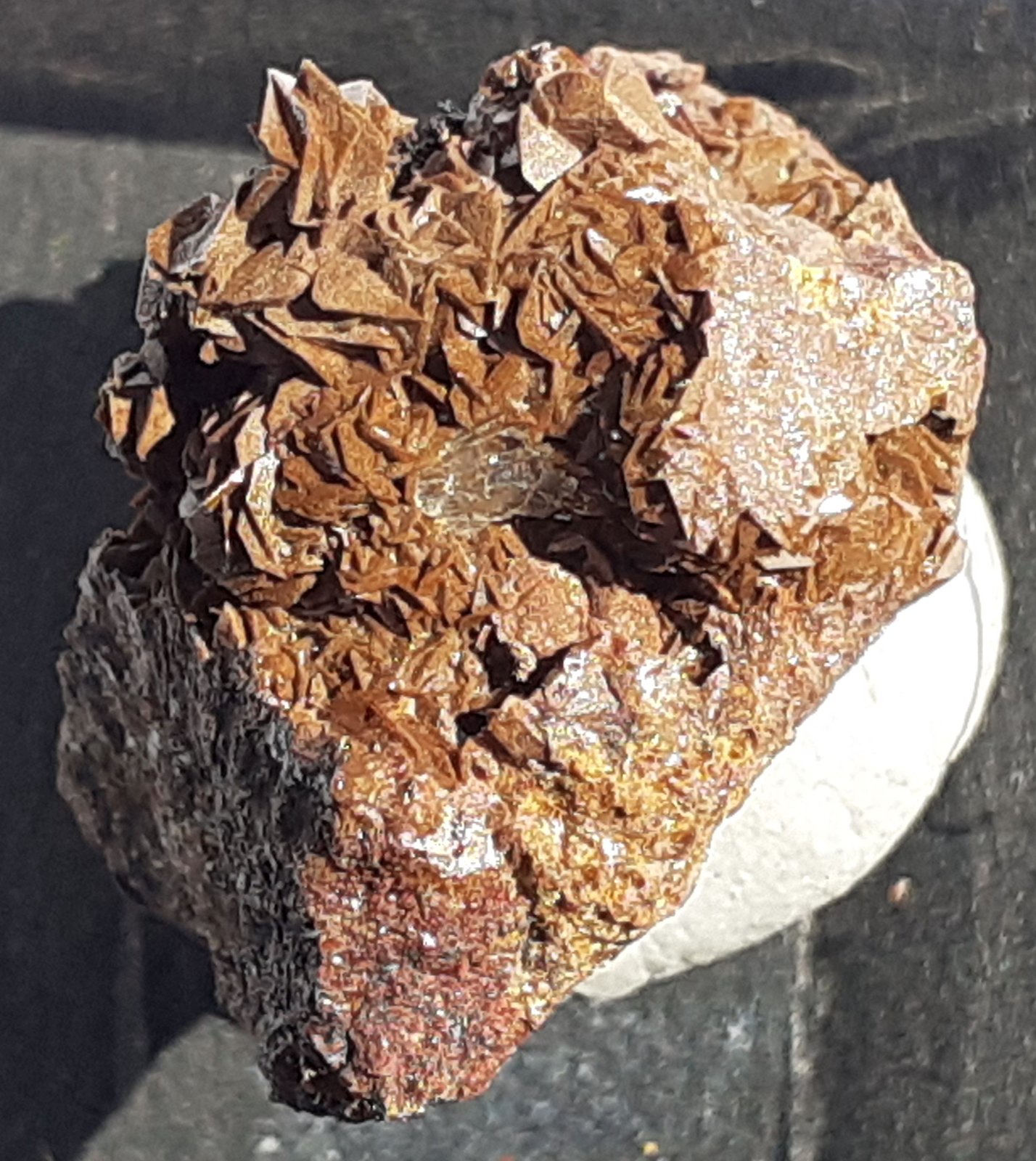 Jarosite
1,5 x 1 cm
(Autor: Volkmar Stingl)